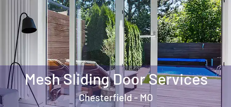 Mesh Sliding Door Services Chesterfield - MO